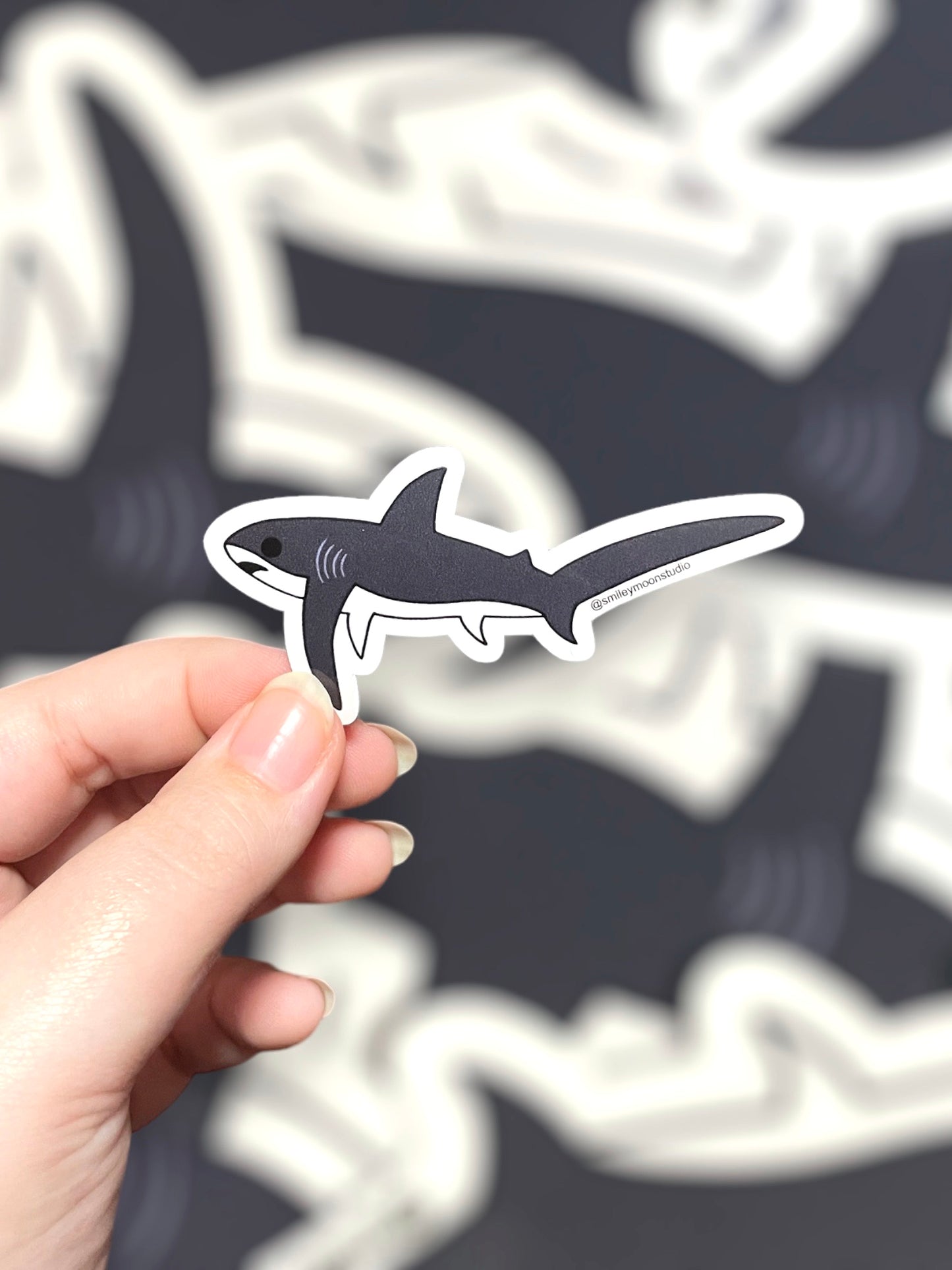 Thresher Shark, Vinyl Sticker